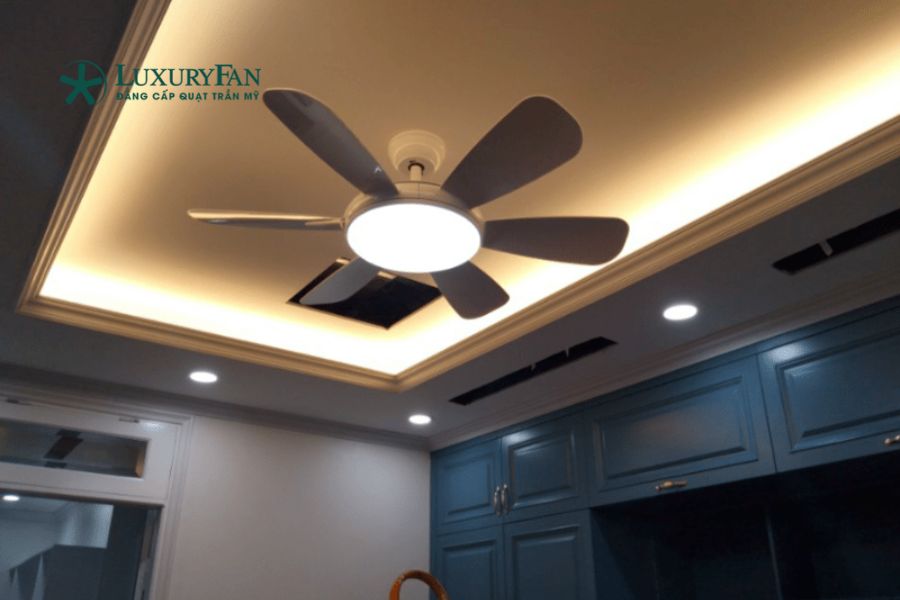 quạt trần 6 cánh Đài Loan được nhiều gia đình ưu tiên nhờ khả năng làm mát mạnh nhưng êm, độ bền cao và thiết kế cân đối