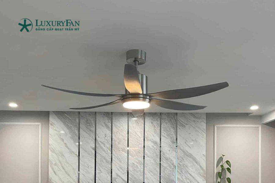 Quạt trần 6 cánh Đài Loan thường được trang bị động cơ chất lượng cao, kết cấu chắc chắn, giúp quạt vận hành ổn định