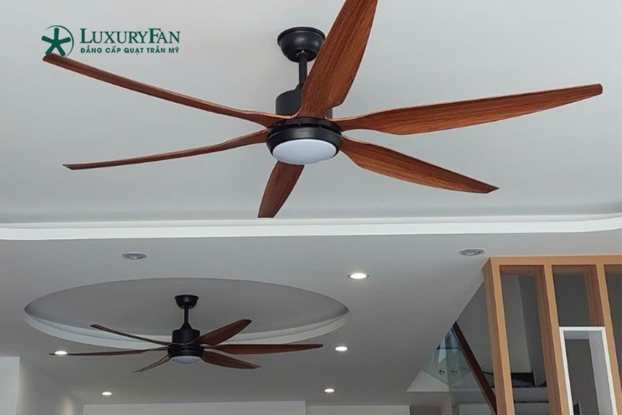 Quạt trần 6 cánh Đài Loan dễ dàng phù hợp với nhiều không gian khác nhau như phòng khách, phòng sinh hoạt chung,...