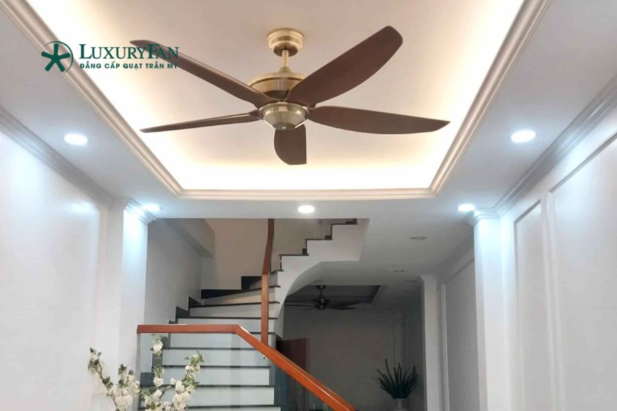quạt trần Đài Loan 5 cánh ngày càng trở nên phổ biến tại thị trường Việt Nam nhờ khả năng làm mát hiệu quả