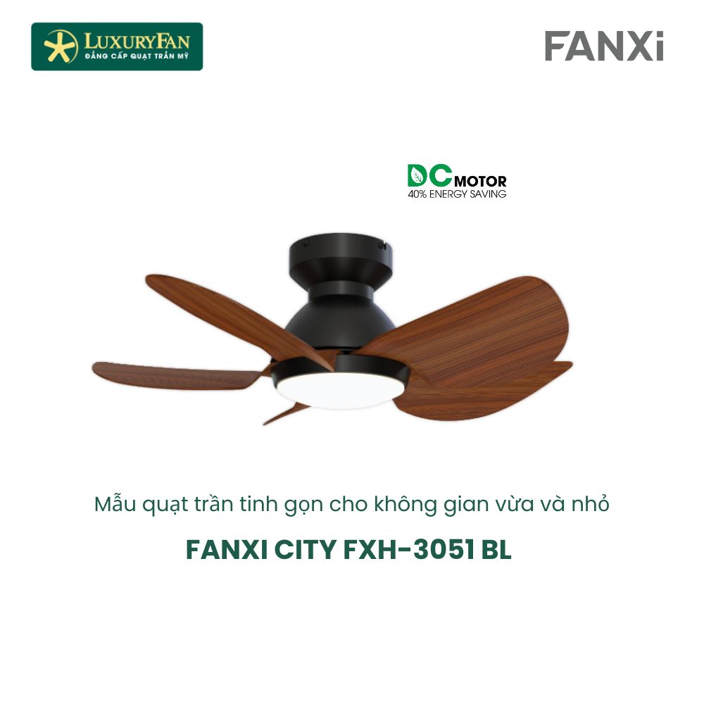 FANXI CITY (10)