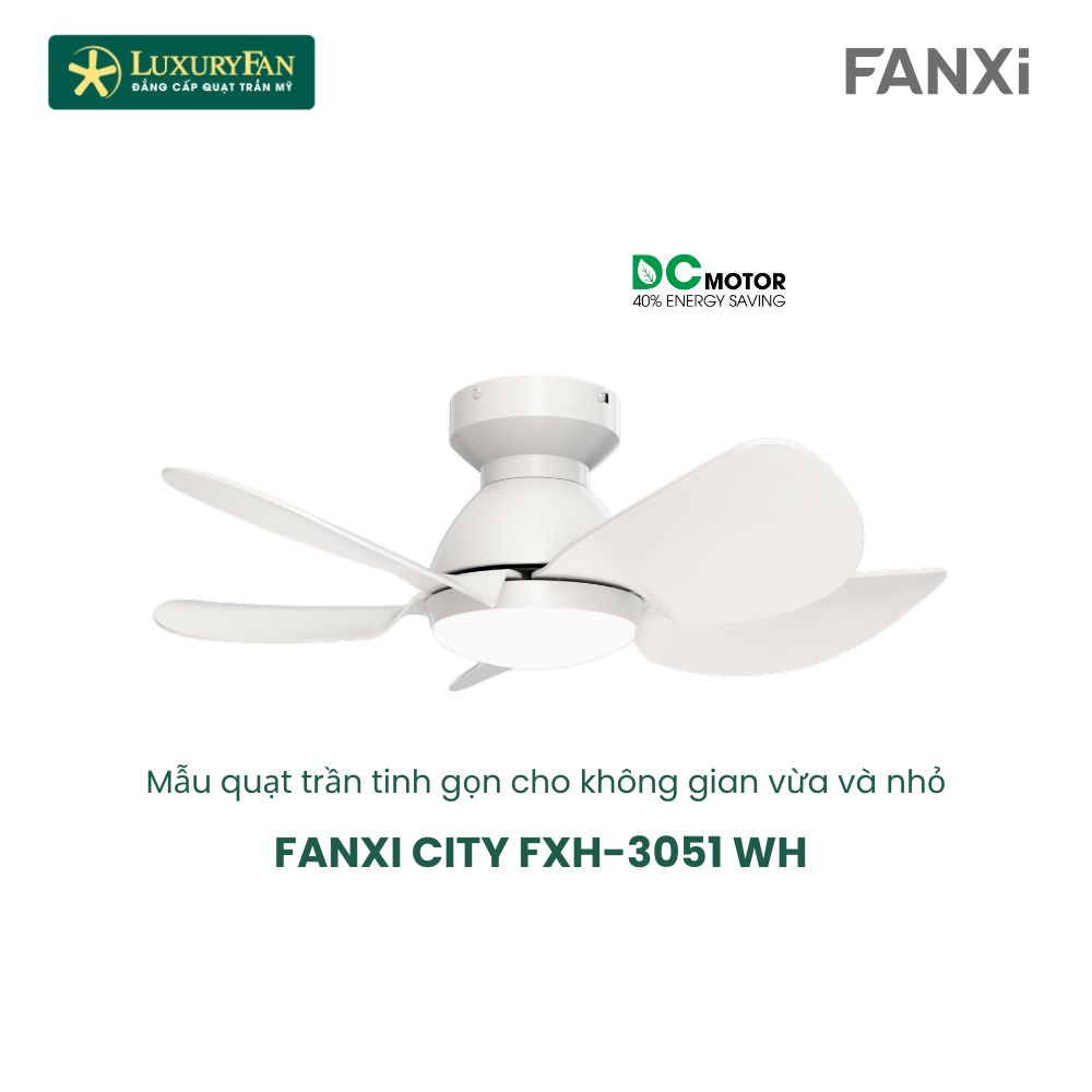 FANXI CITY (12)