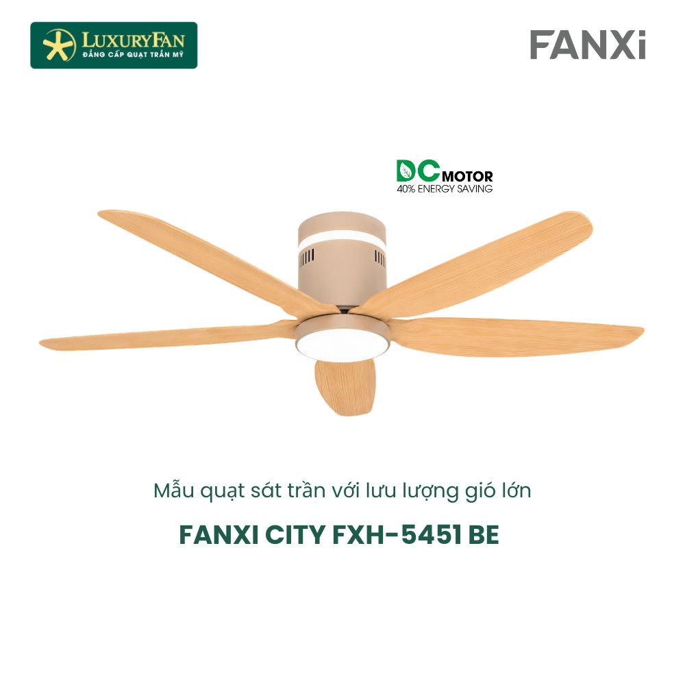 FANXI CITY (2)