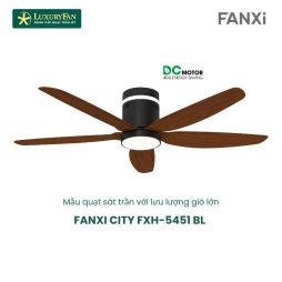 FANXI CITY FXH-5451 BL