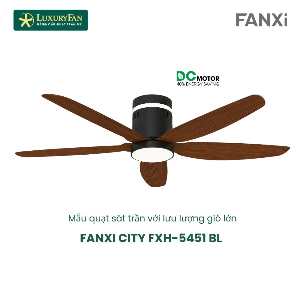 FANXI CITY (5)