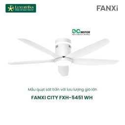 FANXI CITY FXH-5451 WH