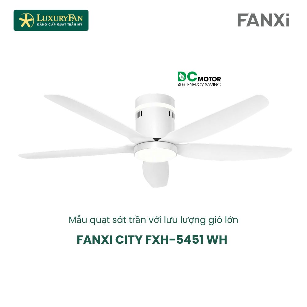 FANXI CITY (6)