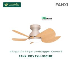 FANXI CITY FXH-3051 BE