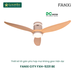 FANXI CITY FXH-5231 BE