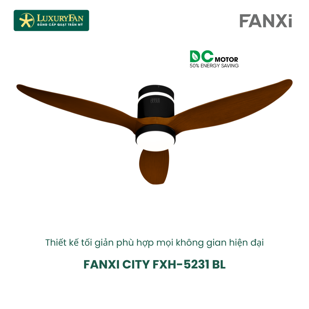 FANXI CITY BL-WG