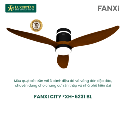 FANXI CITY FXH-5231 BL