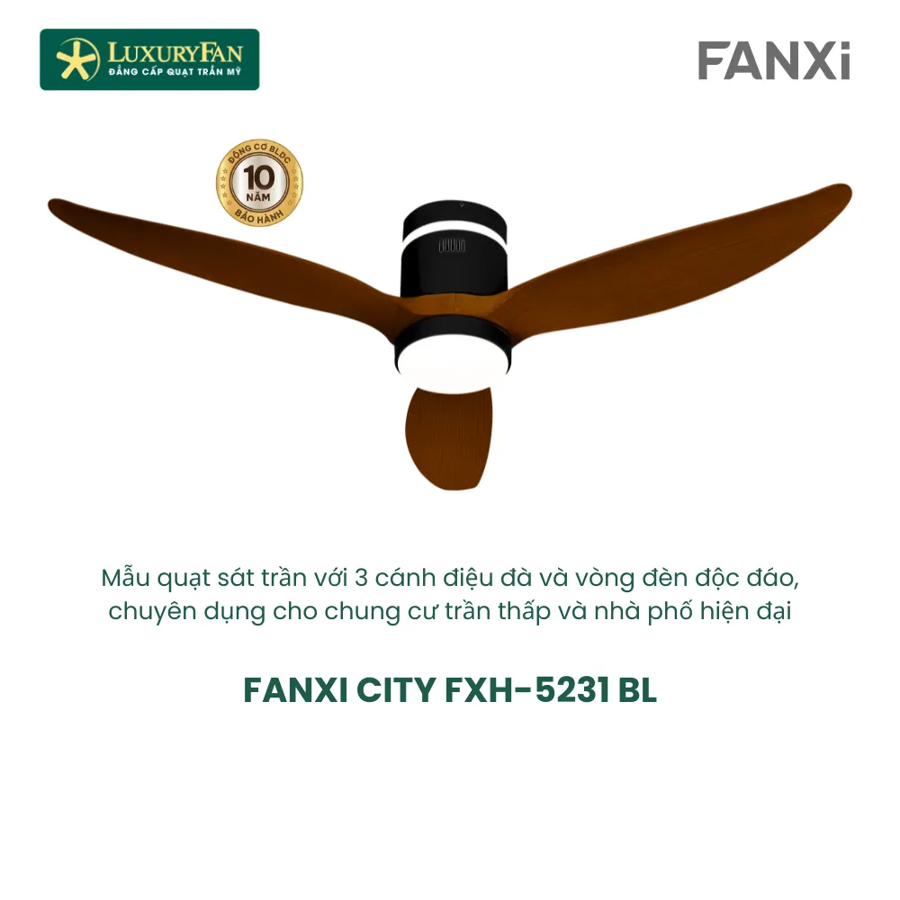FANXI CITY FXH-5231 (2)