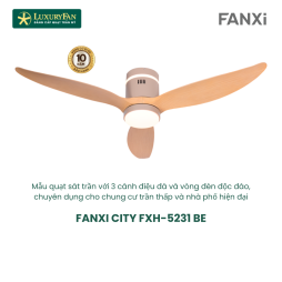 FANXI CITY FXH-5231 BE