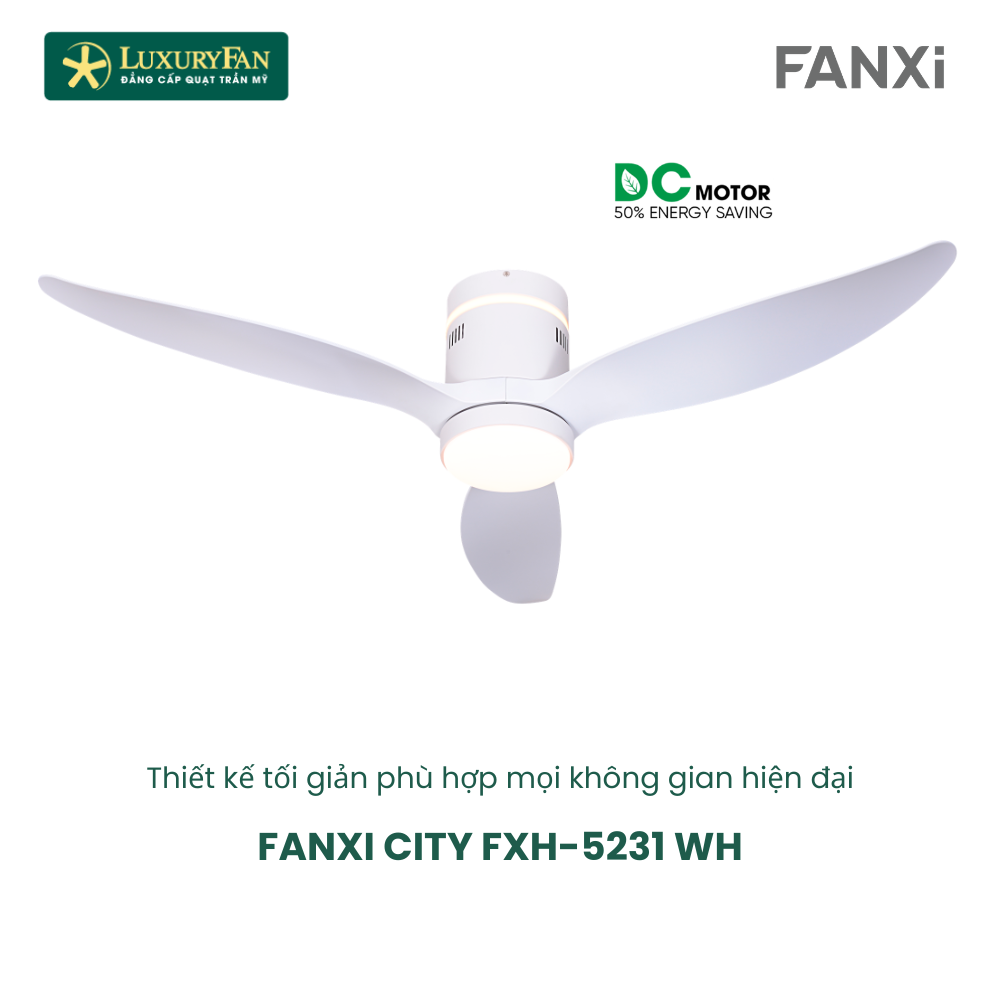 FANXI CITY WH