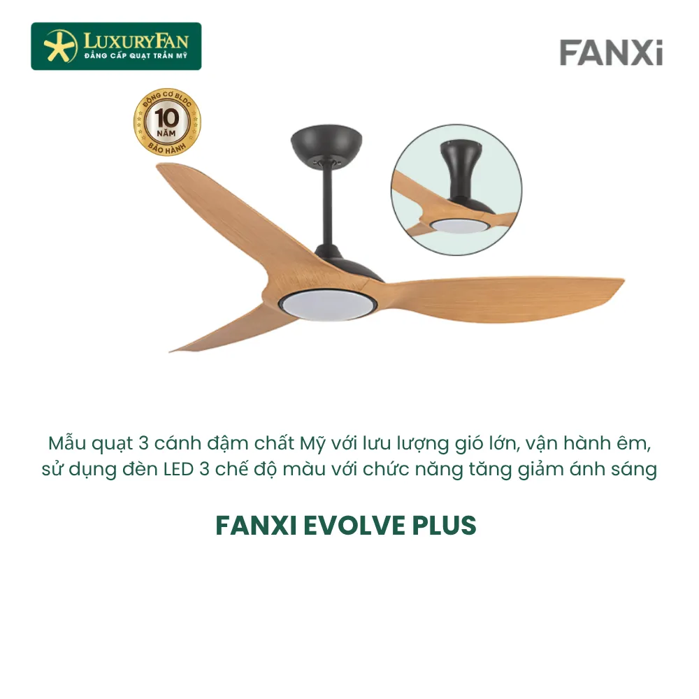 FANXI EVOLVE PLUS (3)