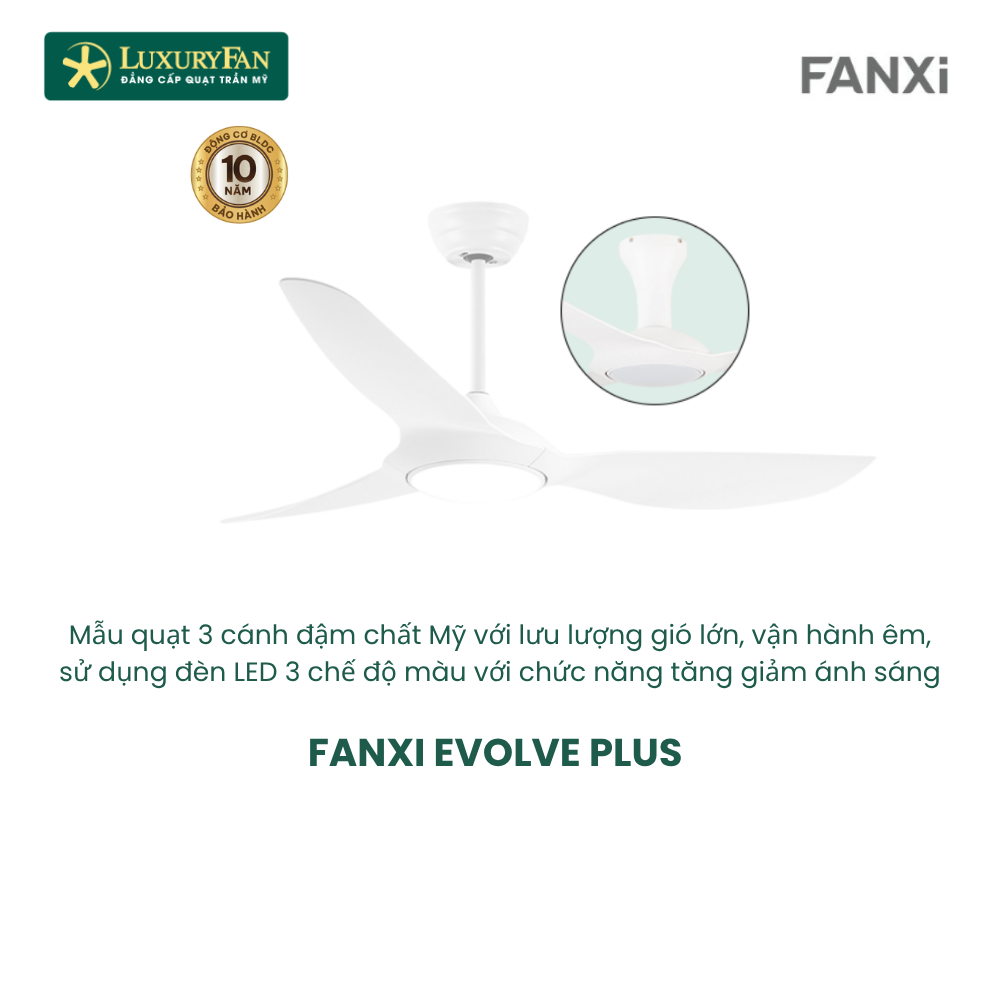 FANXI EVOLVE PLUS (5)