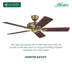 HUNTER SAVOY 24520