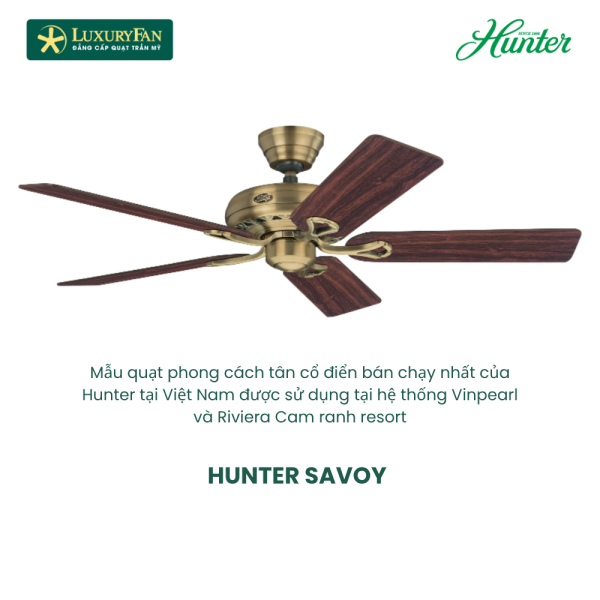 HUNTER SAVOY 24520