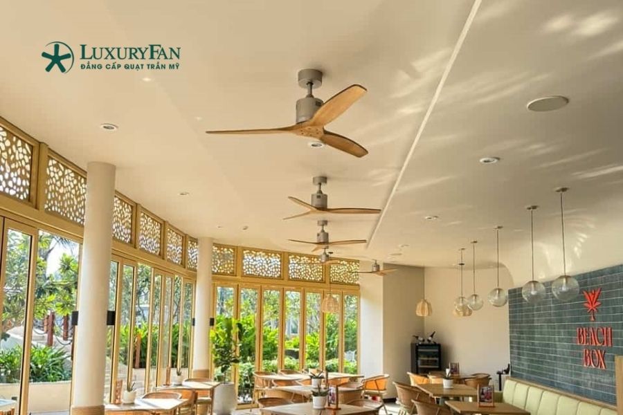 Quạt trần cánh gỗ Đài Loan trở thành lựa chọn nổi bật trong nhiều không gian từ nhà ở cao cấp đến quán café, resort và homestay.