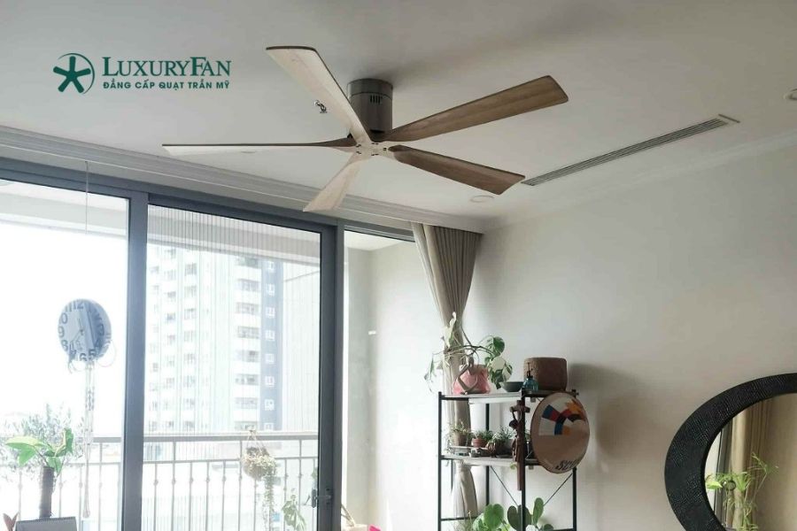 quạt trần cánh gỗ Đài Loan rất phù hợp cho những không gian yêu cầu cao về sự yên tĩnh như phòng ngủ hoặc khu vực nghỉ ngơi.