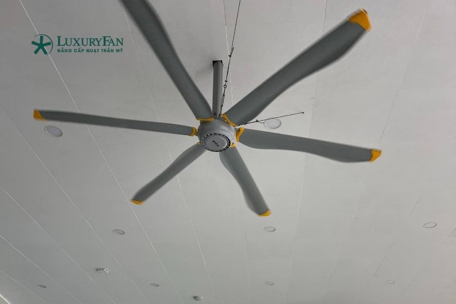 Nếu hướng đến giải pháp lâu dài, giảm chi phí điện và nâng cao môi trường làm việc, quạt trần HVLS là khoản đầu tư rất đáng giá