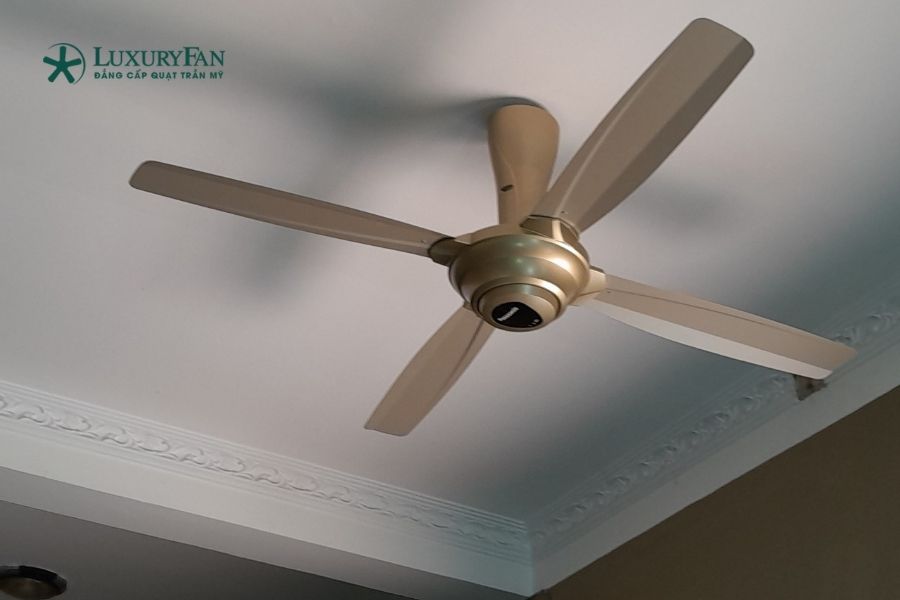 Quạt 4 cánh thường được đánh giá là tối ưu về hiệu năng và chi phí.