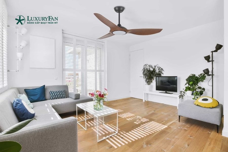 Vì sao quạt trần 3 cánh được ưa chuộng?