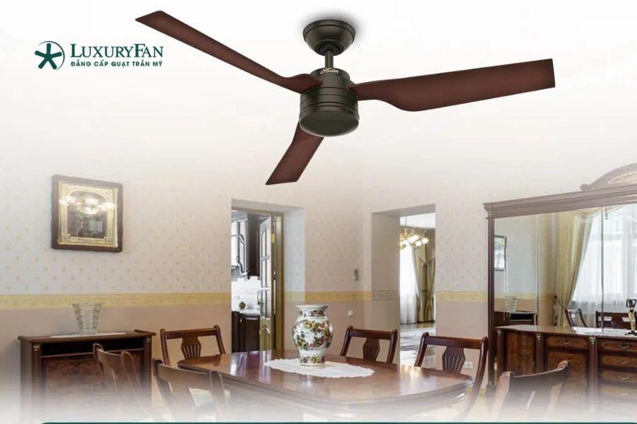 Hunter Cabo Frio 50635