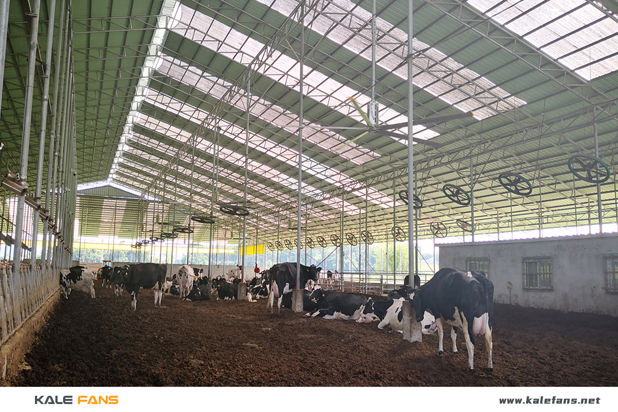 Ứng dụng của quạt trần công nghiệp trong nông nghiệp