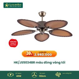 HK/JS5034BR màu đồng vàng tối