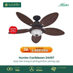 Hunter Caribbean 24457