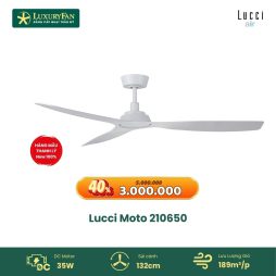 Lucci Moto 210650