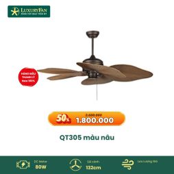 QT305 màu nâu