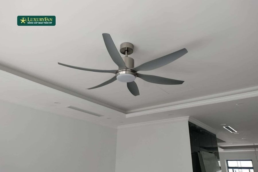 Một trong những nguyên nhân chính gây ra tiếng ồn của quạt trần là bụi bẩn và cặn bã bám trên cánh quạt và động cơ