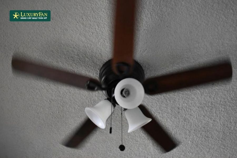 Quạt trần thường sẽ phát ra tiếng ồn nhẹ khi chạy ở tốc độ cao, nhưng nếu tiếng ồn quá lớn hoặc có tiếng kêu lạ, điều này có thể là dấu hiệu của một vấn đề nghiêm trọng.