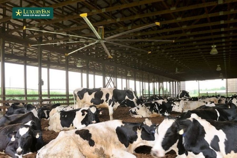 Quạt trần công nghiệp mang lại hiệu quả kinh tế rõ rệt