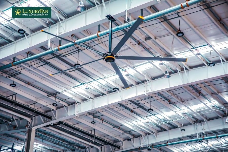 Quạt trần công nghiệp có thể ứng dụng linh hoạt trong nhiều mô hình chăn nuôi và bảo quản nông sản.