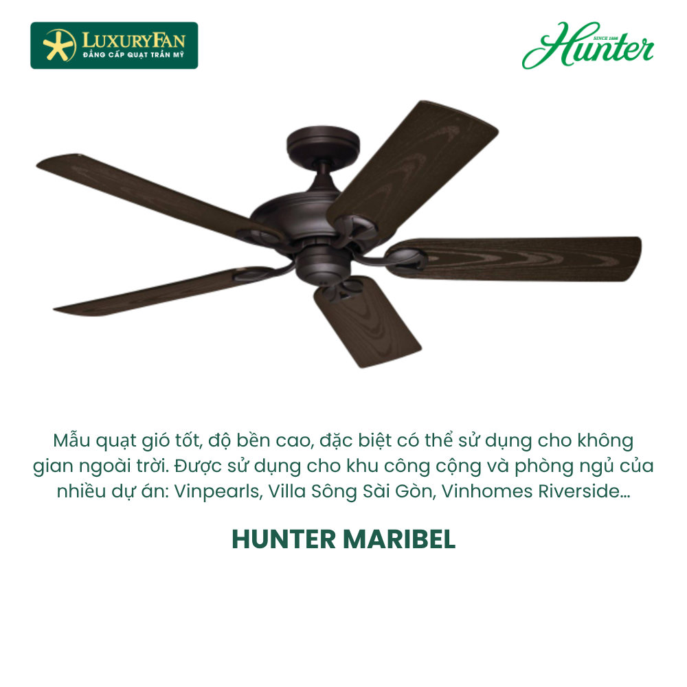 HUNTER MARIBEL (3) HUNTER MARIBEL (3)