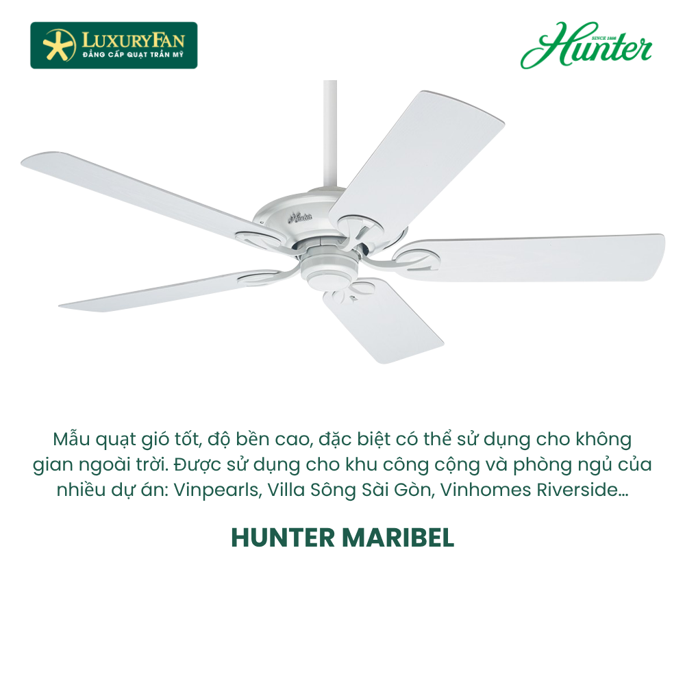 HUNTER MARIBEL HUNTER MARIBEL