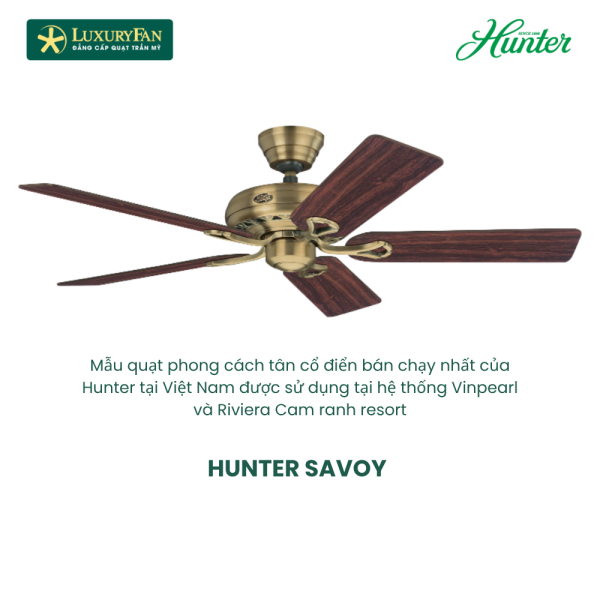 HUNTER SAVOY 24520
