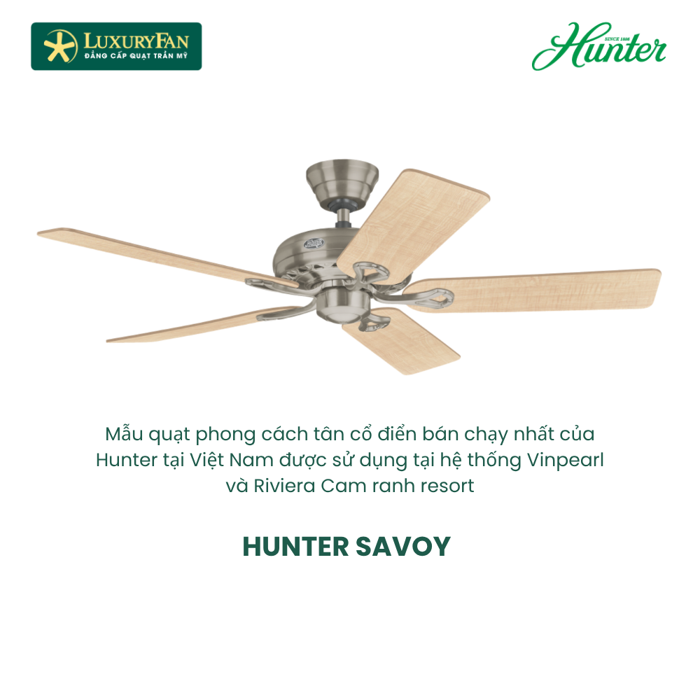 HUNTER SAVOY (3) HUNTER SAVOY (3)