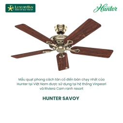 HUNTER SAVOY 24524
