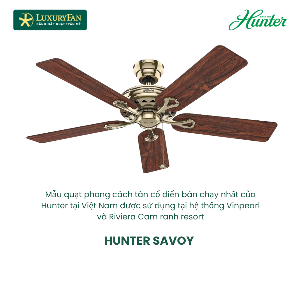 HUNTER SAVOY (5)