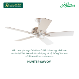 HUNTER SAVOY 24526