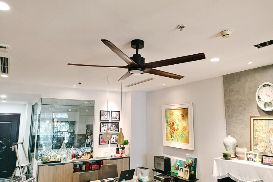 Nhờ khả năng tạo luồng gió rộng và phân tán đều, quạt trần giúp giảm nhiệt độ cảm nhận trong phòng mà không tiêu tốn quá nhiều điện năng. Đây là giải pháp tiết kiệm và thân thiện với môi trường.