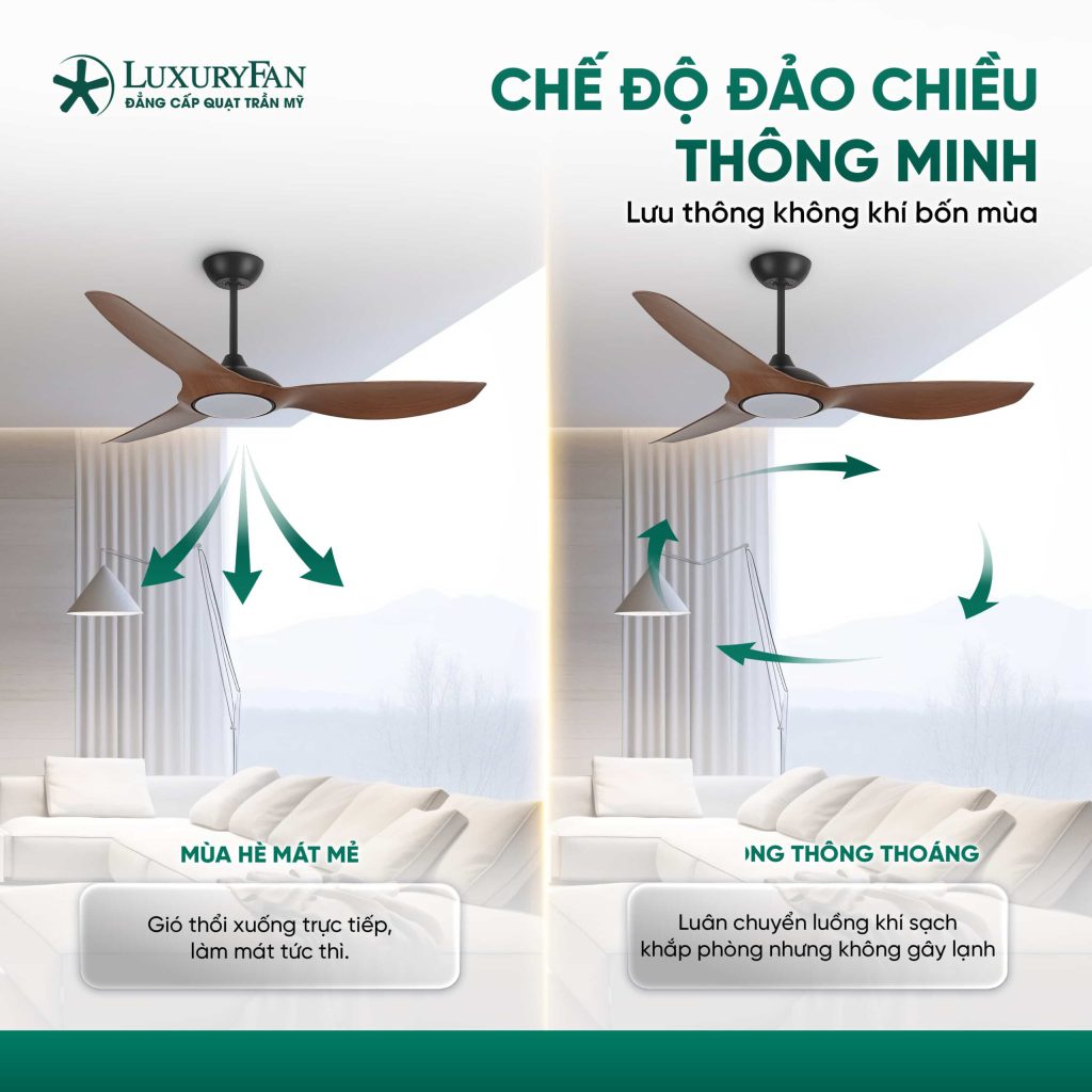 Quạt trần đảo chiều là một giải pháp hiệu quả giúp tối ưu hóa lưu thông không khí trong không gian sống.
