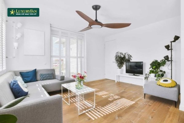 Làm mát nhà mà không cần máy lạnh: Những giải pháp đơn giản nhưng hiệu quả