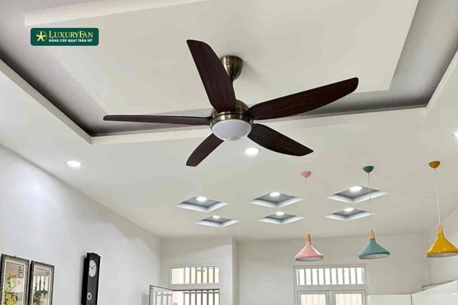 Quạt trần có thể được lắp đặt ở nhiều loại không gian: từ nhà ở, căn hộ chung cư, biệt thự đến quán cà phê, nhà hàng, văn phòng, lớp học hoặc nhà xưởng.