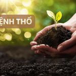 Mệnh Thổ hợp màu gì? Giải mã màu sắc phong thủy mệnh Thổ giúp thu hút may mắn