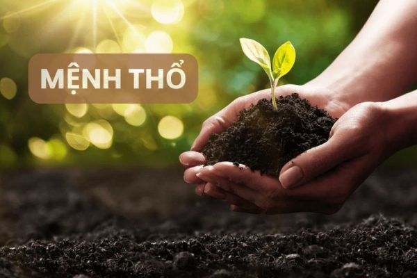 Mệnh Thổ hợp màu gì? Giải mã màu sắc phong thủy mệnh Thổ giúp thu hút may mắn